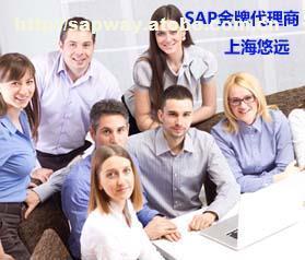選擇上海悠遠SAP咨詢公司，享受專業SAP金牌服務