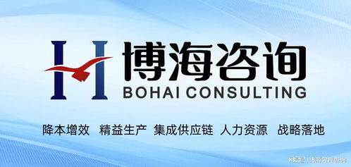 廣東6S精益管理咨詢公司 以軟件開發為引擎，實現企業成本優化新突破
